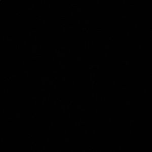 Meet your Posher, Wong